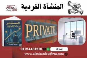 المنشأة الفردية في مصر 2025 — التعريف والإجراءات والمزايا والعيوب ودور هيئة الاستثمار