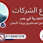 أنواع الشركات التجارية في مصر 2025 للمستثمرين ورواد الأعمال