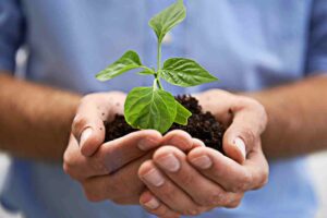 الاستثمار وتأسيس الشركات في مصر - مؤسسة الميزان للمحاماة