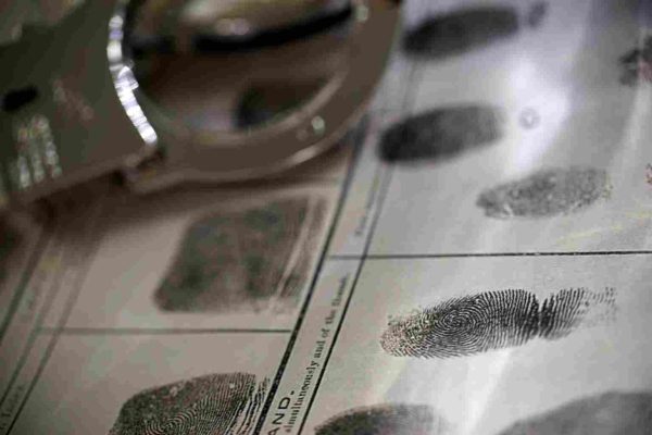 الجنايات الخاصة بالجمارك – مؤسسة الميزان للمحامة الجنايات الخاصة بالجمارك - مؤسسة الميزان للمحامة